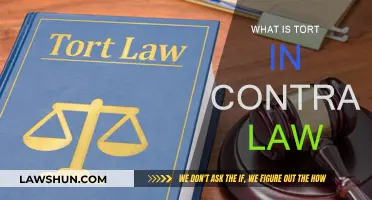 Understanding Tort Law in Contract Disputes
