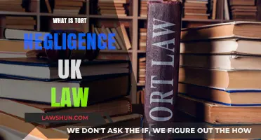 Understanding UK Tort Negligence Law