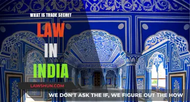Trade Secret Law: India's Unique IP Protection