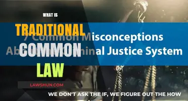The Evolution of Traditional Common Law
