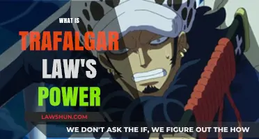 Unveiling Trafalgar Law's Devil Fruit Power and Surgical Abilities