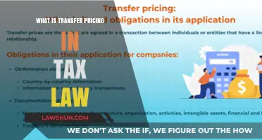 Transfer Pricing: Tax Law's Complex Web