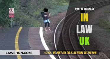 Understanding Trespass Laws in the UK