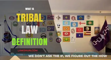 Understanding Tribal Law: Definition, Sovereignty, and Legal Framework Explained
