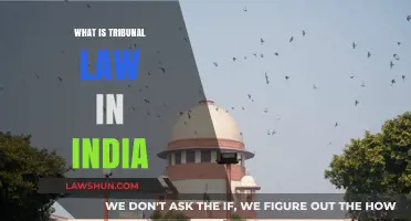 Tribunal Law in India: Understanding the Basics