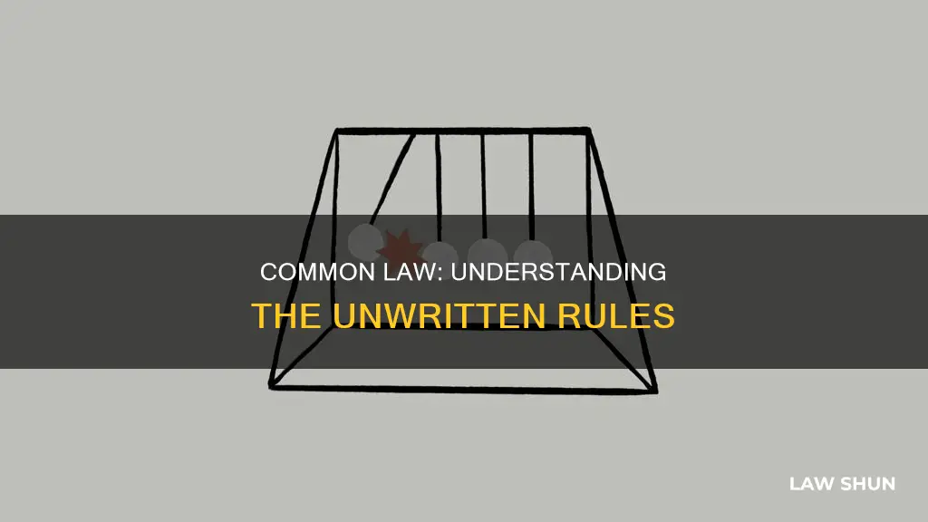 what is true about common law