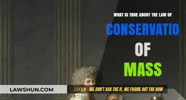 Understanding the Law of Conservation of Mass: Facts and Truths