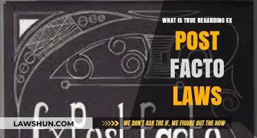 Understanding Ex Post Facto Laws: Key Facts and Constitutional Implications