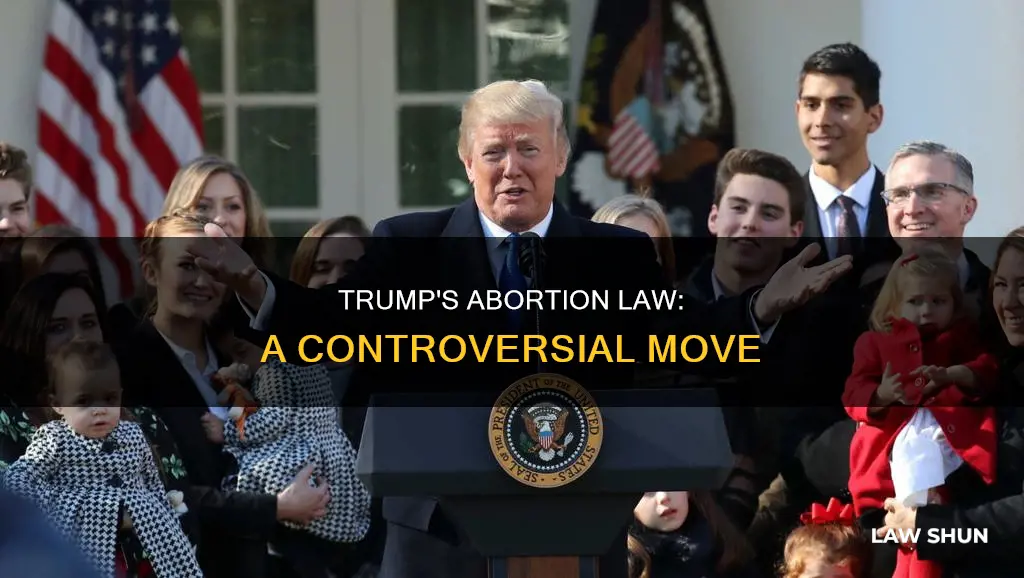 what is trumps abortion law