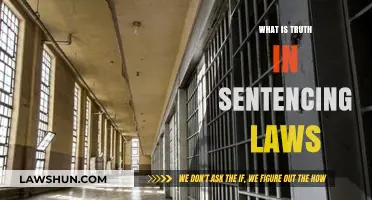 Unraveling the Complexities of Truth in Sentencing Laws