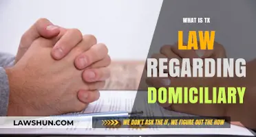 Understanding Texas Domiciliary Law: Key Legal Insights and Requirements