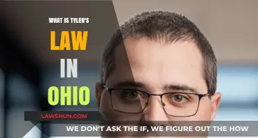Understanding Tyler's Law: Ohio's Landmark Legislation Explained