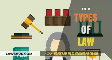 Understanding the Diverse Types of Law and Their Applications