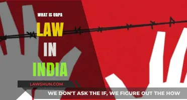 UAPA Law: India's Controversial Anti-Terror Legislation