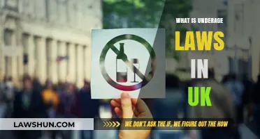 Underage Laws: UK's Legal Drinking Age Explained