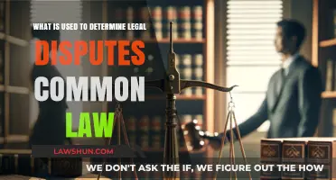 Common Law: Resolving Legal Disputes