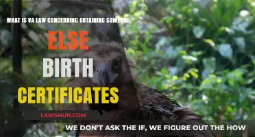 Understanding Virginia Law: Accessing Someone Else's Birth Certificate Legally