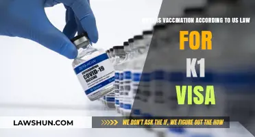 Understanding US Vaccination Requirements for K1 Visa Applicants