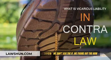 Vicarious Liability: When Contracts Go Awry