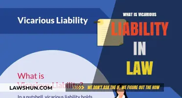 Understanding Vicarious Liability: When One's Actions Bind Another