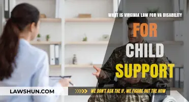 Virginia Disability Benefits and Child Support: Understanding VA Law
