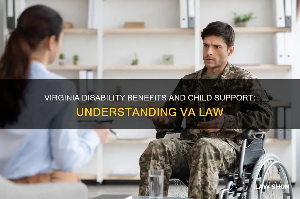 what is virginia law for va disability for child support