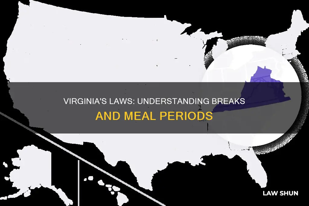 what is virginia laws for breaks and meal periods