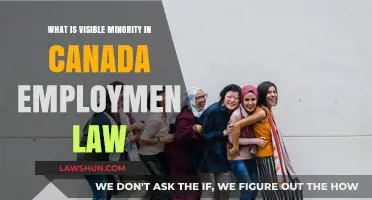 Visible Minority Rights in Canadian Employment Law