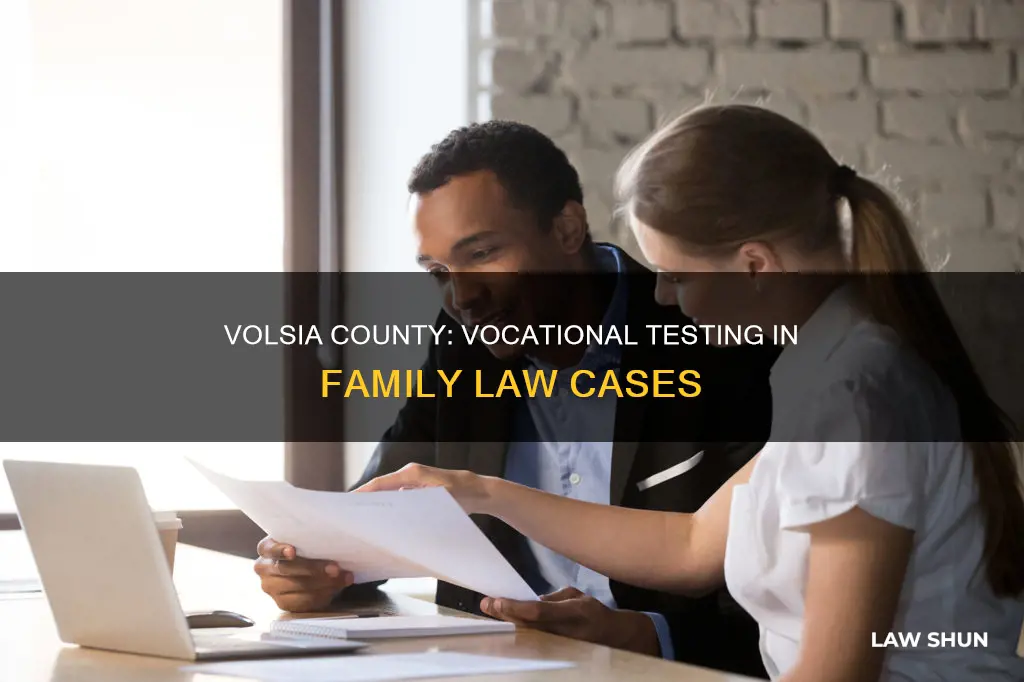 what is vocational test for family law case volsia county