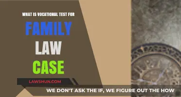 Vocational Testing in Family Law Cases: What You Need to Know