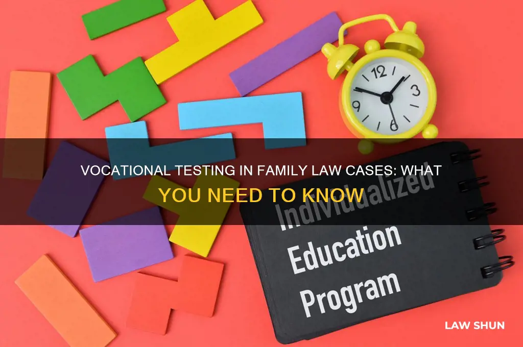 what is vocational test for family law case