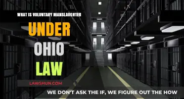 Understanding Voluntary Manslaughter Charges and Penalties in Ohio Law