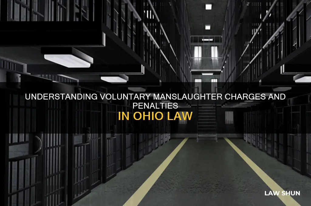 what is voluntary manslaughter under ohio law