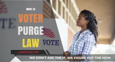 Understanding Voter Purge Laws: Impact, Process, and Legal Implications