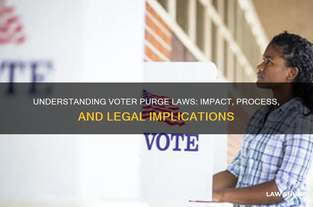 what is voter purge law