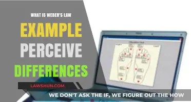 Weber's Law: Understanding Our Perception of Differences