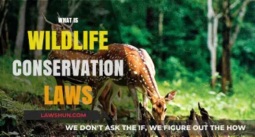 Understanding Wildlife Conservation Laws: Protecting Nature's Future
