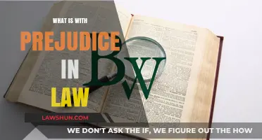 Understanding Prejudice in Legal Contexts: A Comprehensive Guide