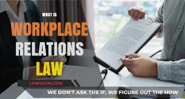Understanding Workplace Relations Law: Key Principles and Employee Rights Explained
