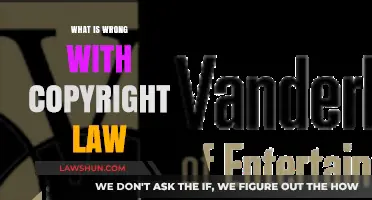 The Broken System: Why Copyright Law Needs Urgent Reform