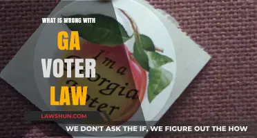 Georgia's Voter Law: Unfair Restrictions or Necessary Reform?