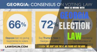 Georgia's Election Law: Unraveling the Controversy and Its Impact