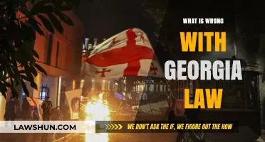 Georgia Law Under Scrutiny: Uncovering Flaws and Controversies