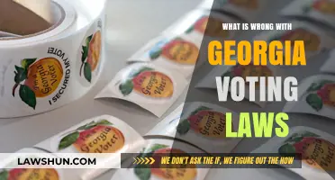 Georgia's Voting Laws: Unfair Restrictions or Necessary Reforms?
