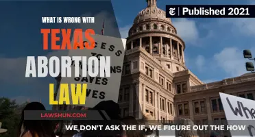 Texas Abortion Law: What's Wrong and Why It Matters