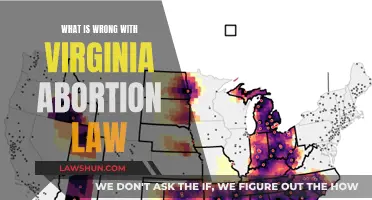 Virginia Abortion Law: What's Wrong and How to Fix It