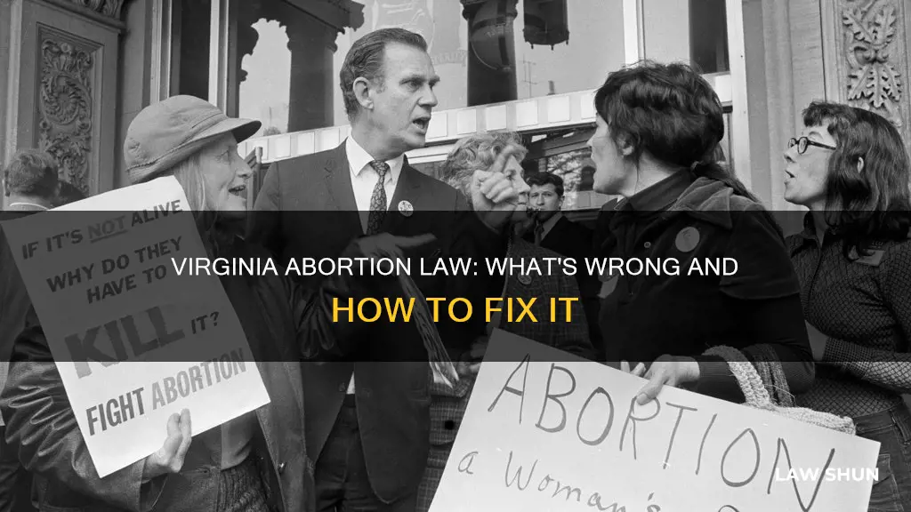 what is wrong with virginia abortion law