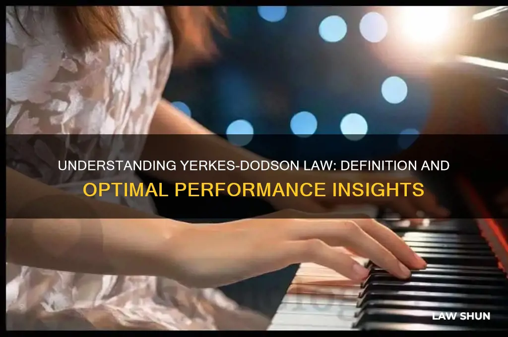 what is yerkes dodson law definition