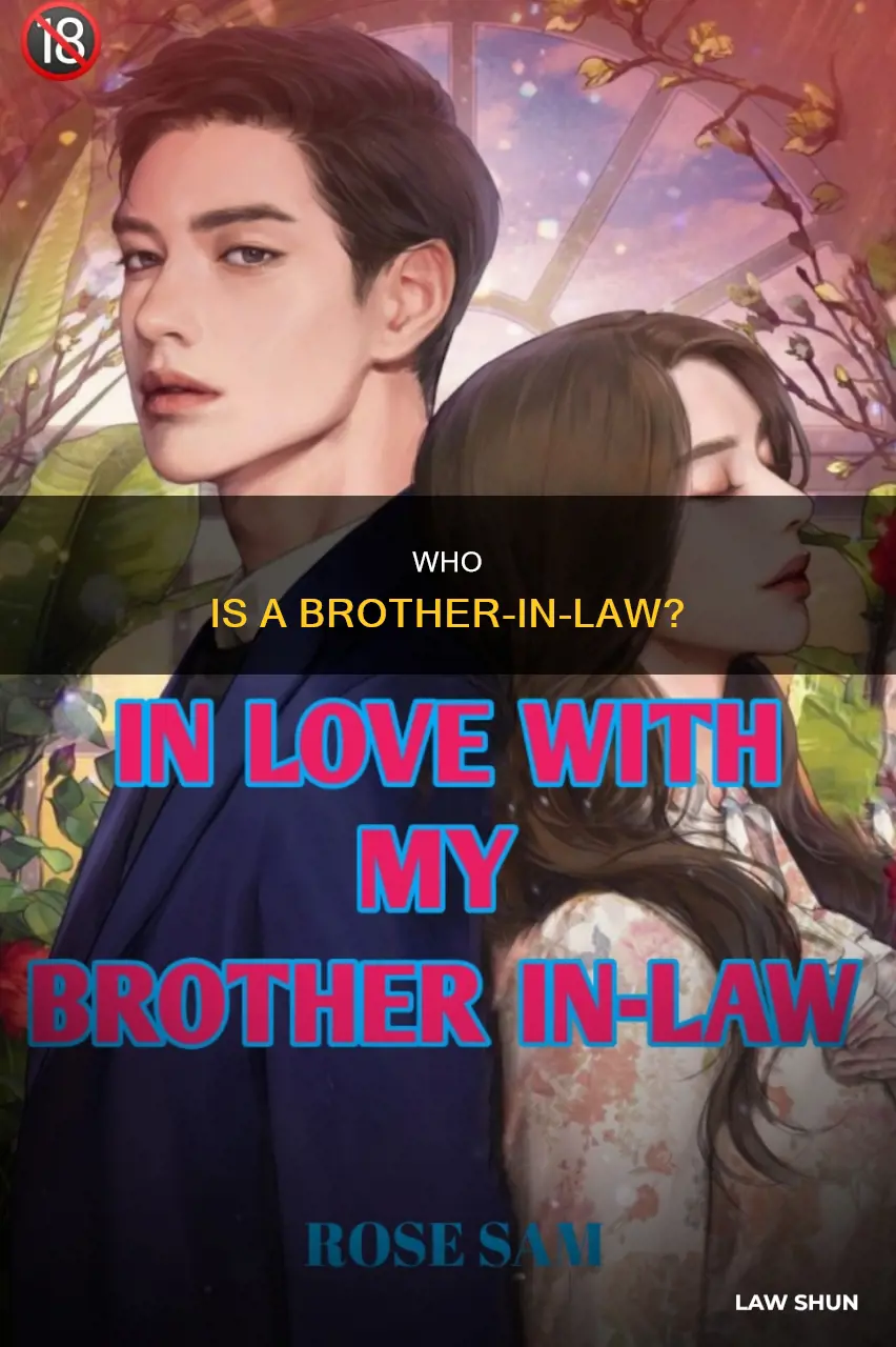 what isa x brother in law