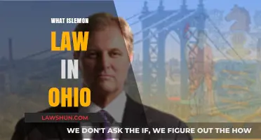 Understanding Ohio's Lemon Law: Protecting Consumers from Defective Vehicles